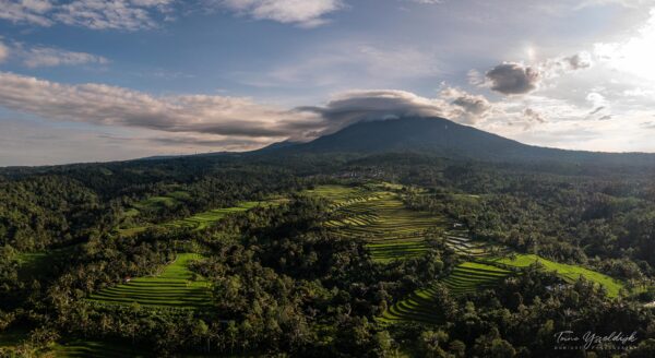 Sanda Pupuan rice fields & mount Batukaru