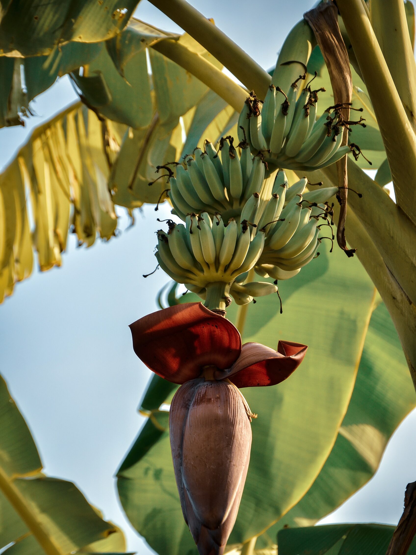 madib-zikri--tUZW1fE25o-unsplash