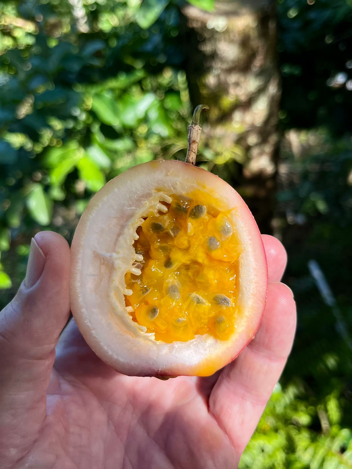 WhatsApp Image 2023-03-25 at 12.57.48